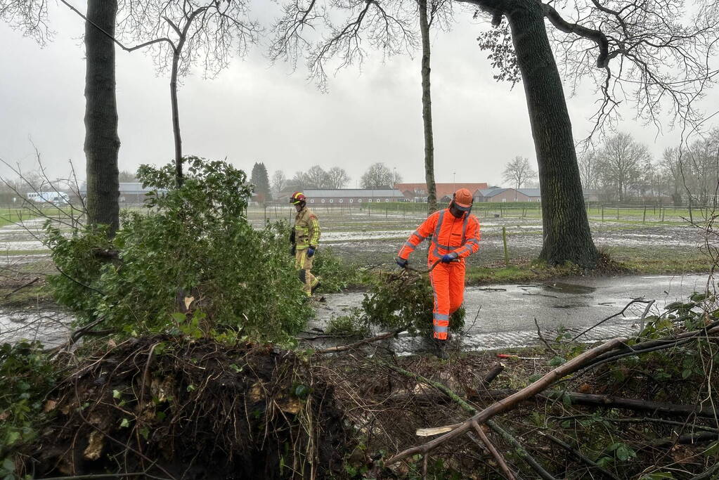 Omgevallen boom verspert weg