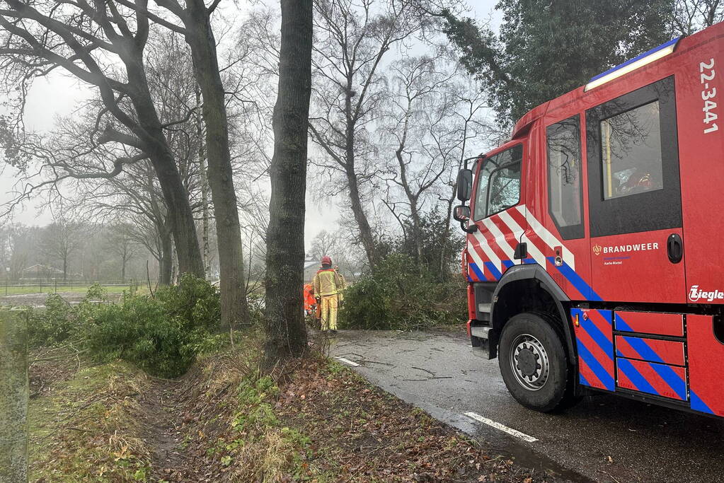 Omgevallen boom verspert weg