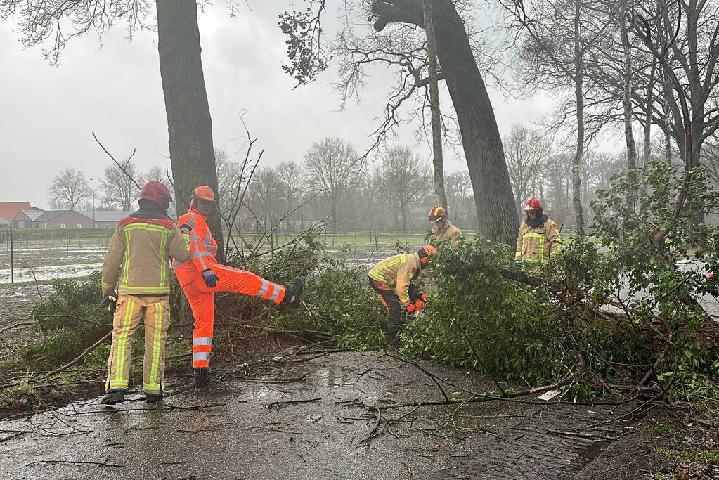 Omgevallen boom verspert weg