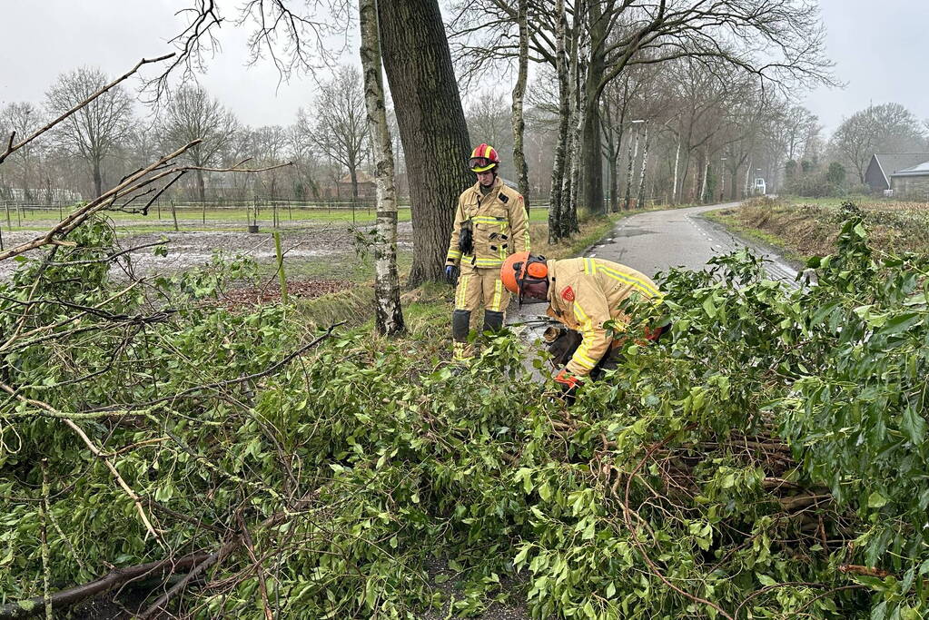 Omgevallen boom verspert weg