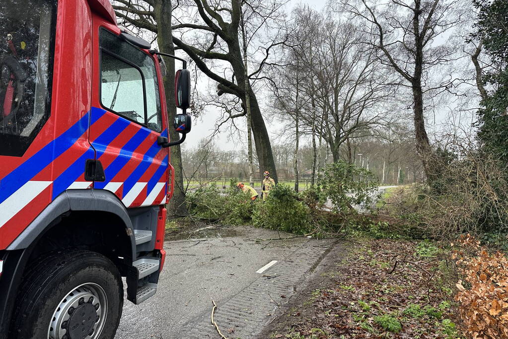 Omgevallen boom verspert weg