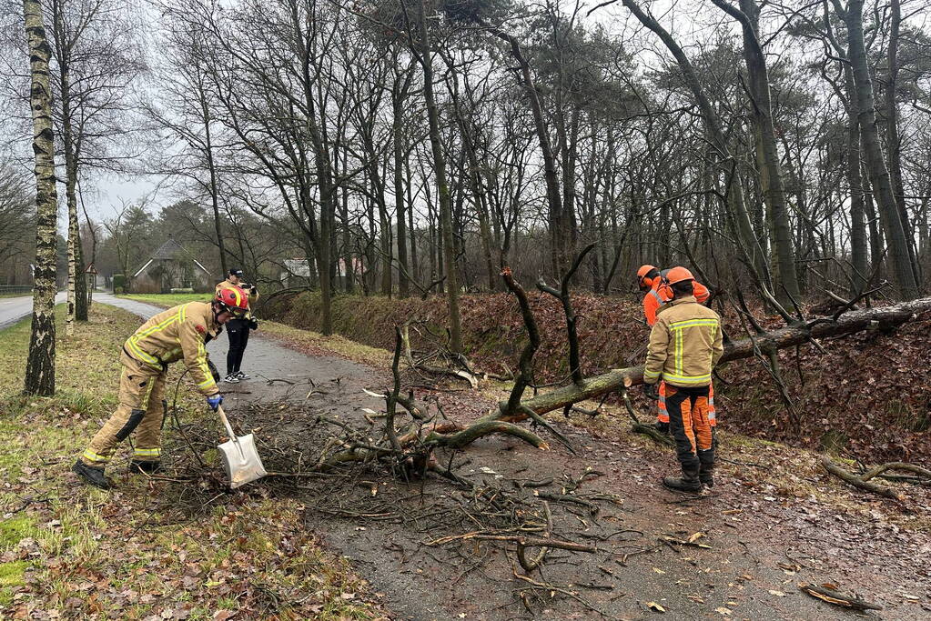 Omgewaaide boom verspert fietspad