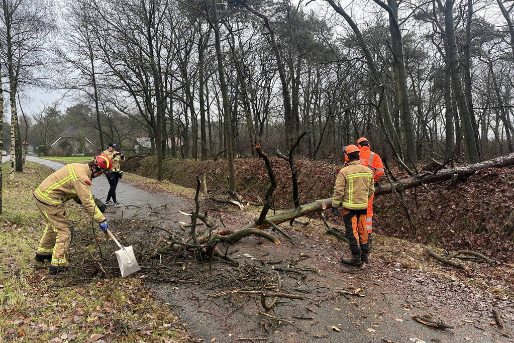 Omgewaaide boom verspert fietspad