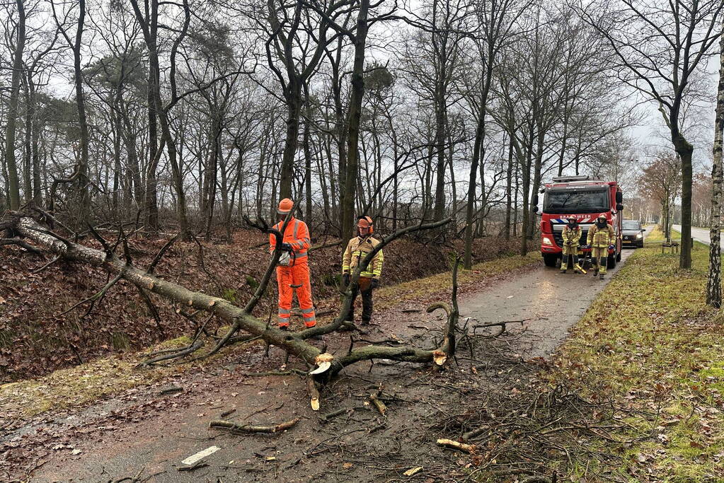 Omgewaaide boom verspert fietspad