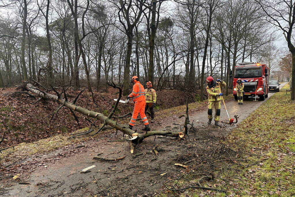 Omgewaaide boom verspert fietspad