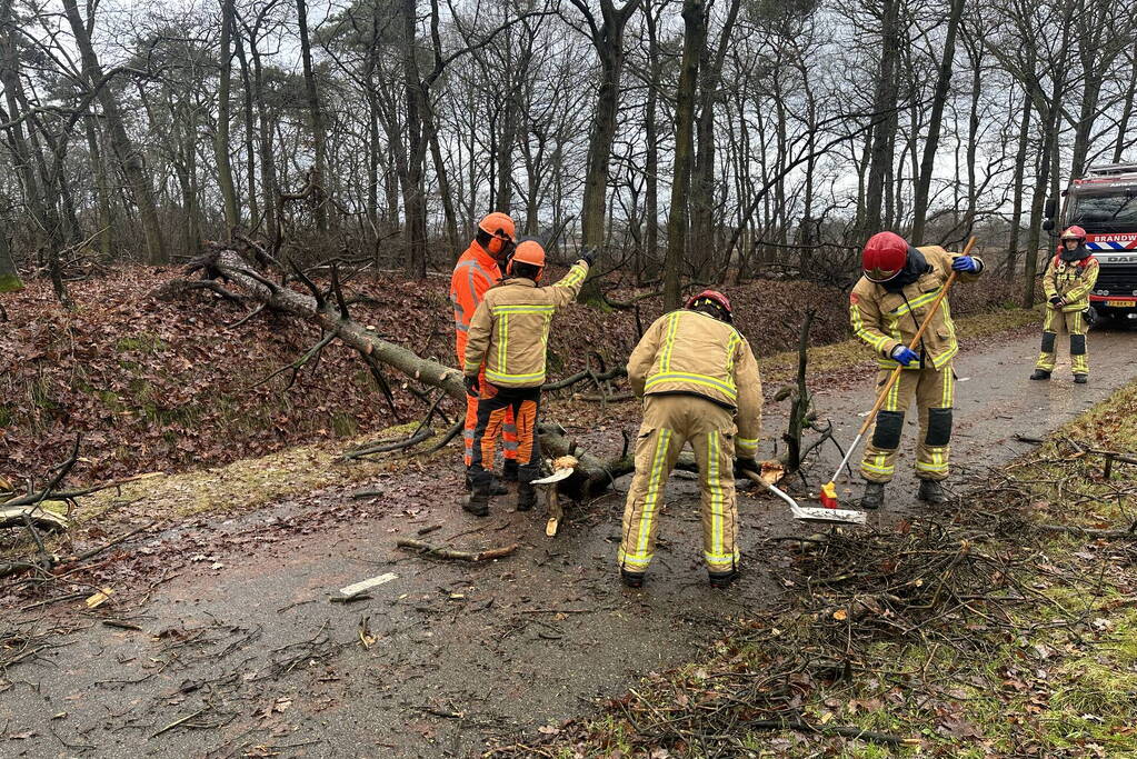 Omgewaaide boom verspert fietspad