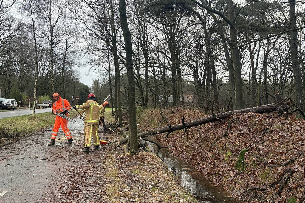 Omgewaaide boom verspert fietspad