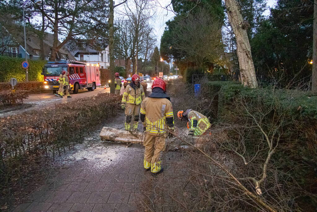 Weg afgesloten door omgevallen boom