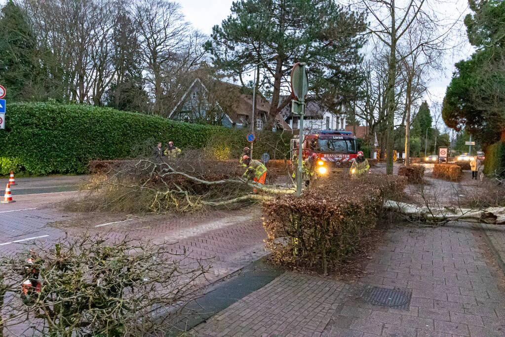 Weg afgesloten door omgevallen boom