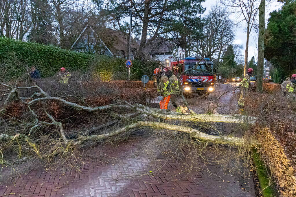 Weg afgesloten door omgevallen boom