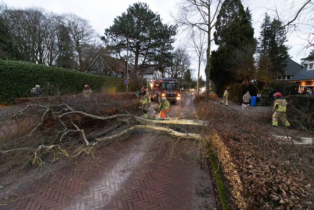 Weg afgesloten door omgevallen boom