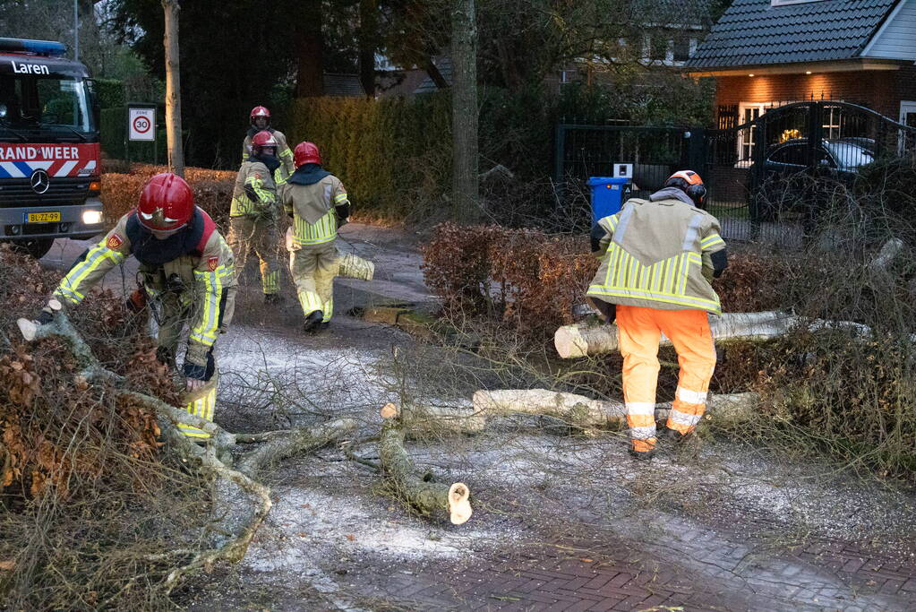 Weg afgesloten door omgevallen boom