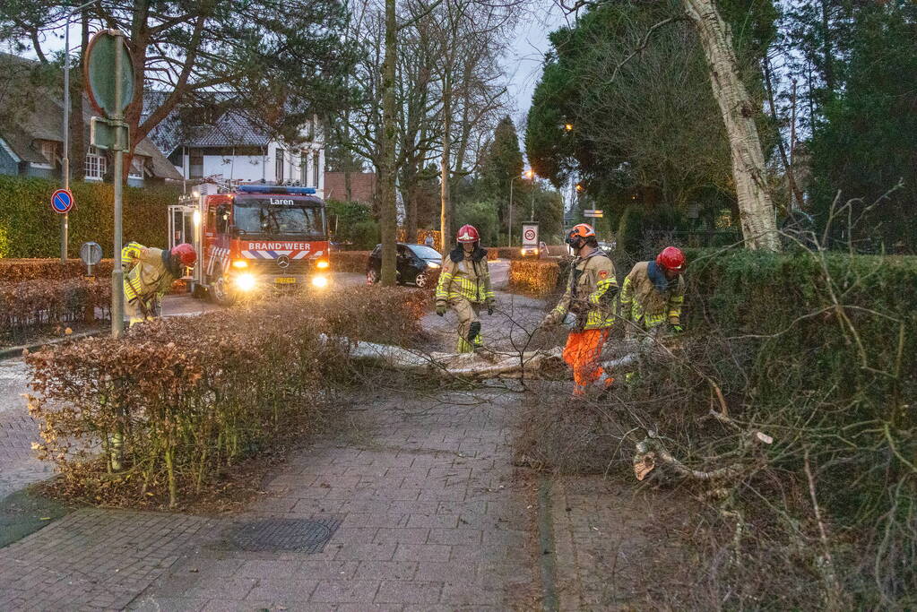 Weg afgesloten door omgevallen boom