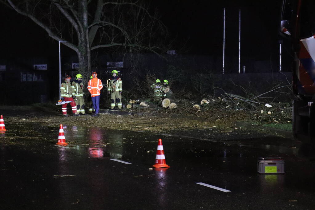 Meerdere bomen omver door storm