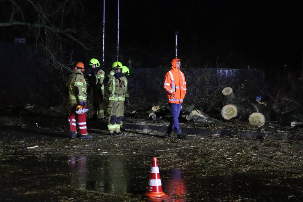 Meerdere bomen omver door storm