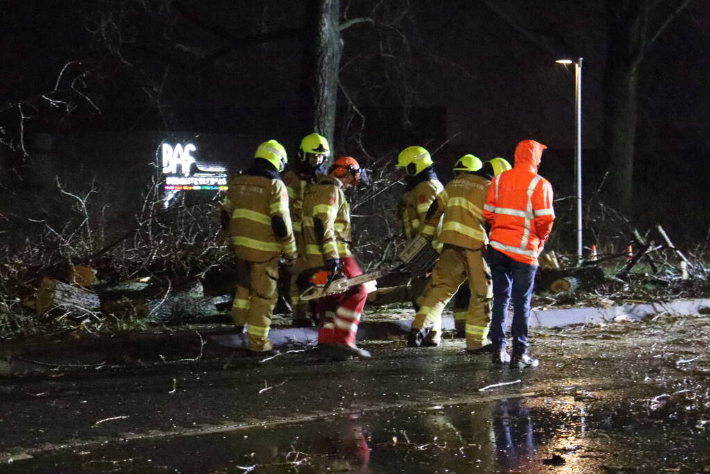 Meerdere bomen omver door storm