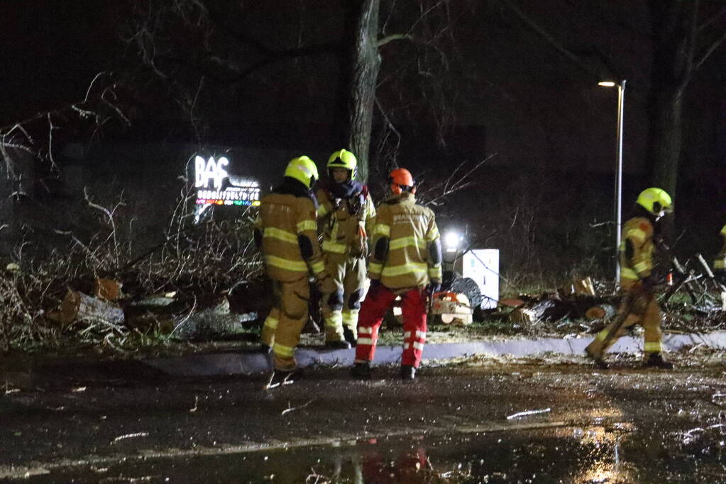 Meerdere bomen omver door storm