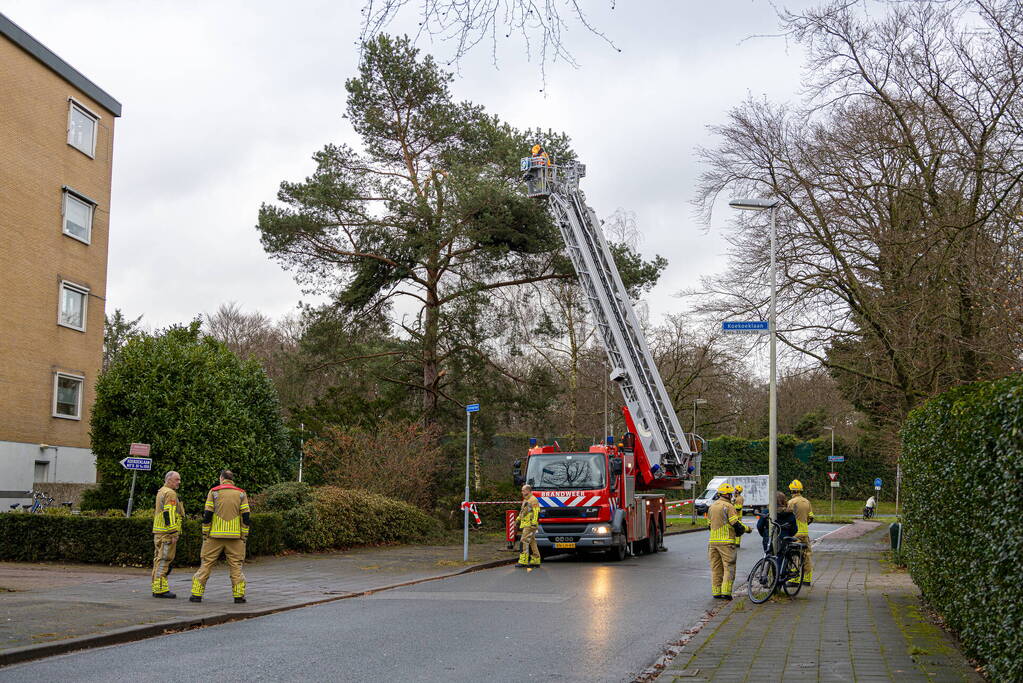 Gevaarlijk hangende tak verwijderd