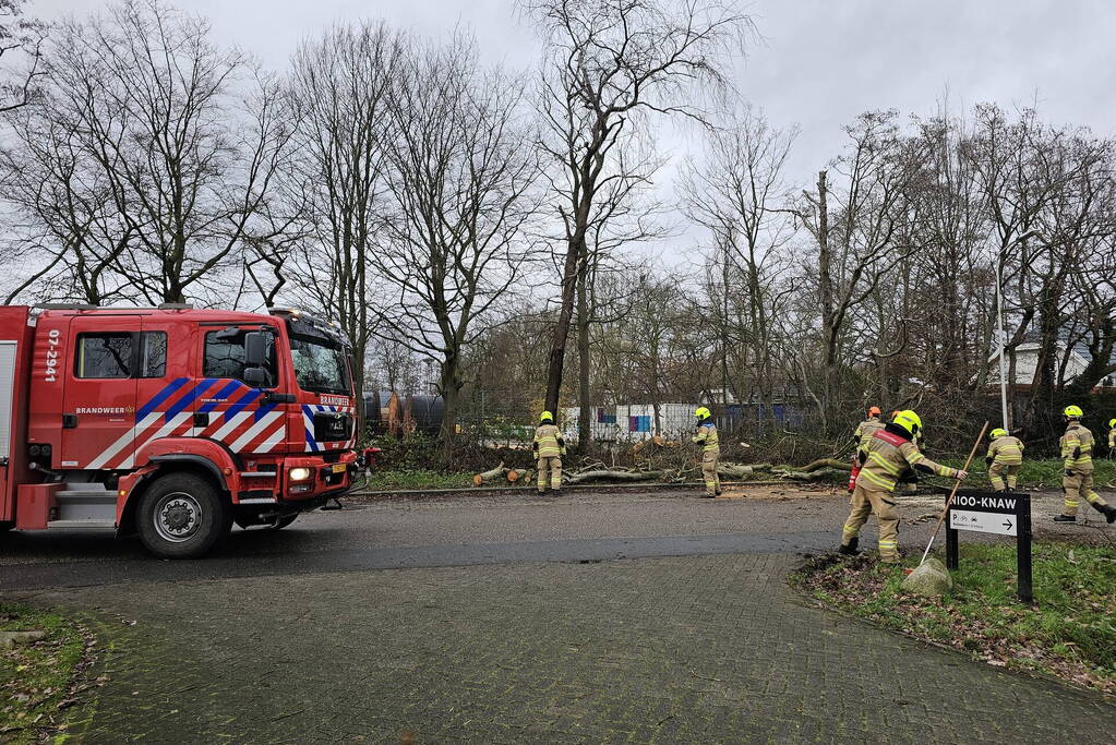 Boom dreigt op weg te vallen