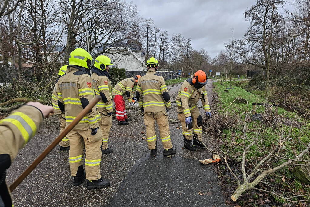 Boom dreigt op weg te vallen