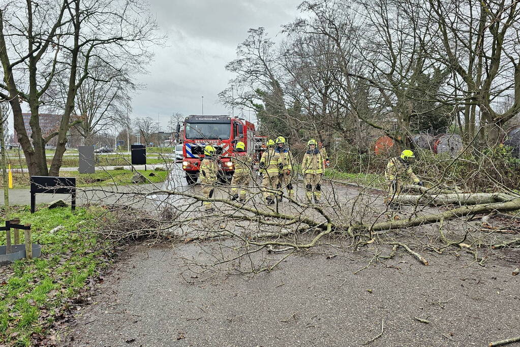 Boom dreigt op weg te vallen