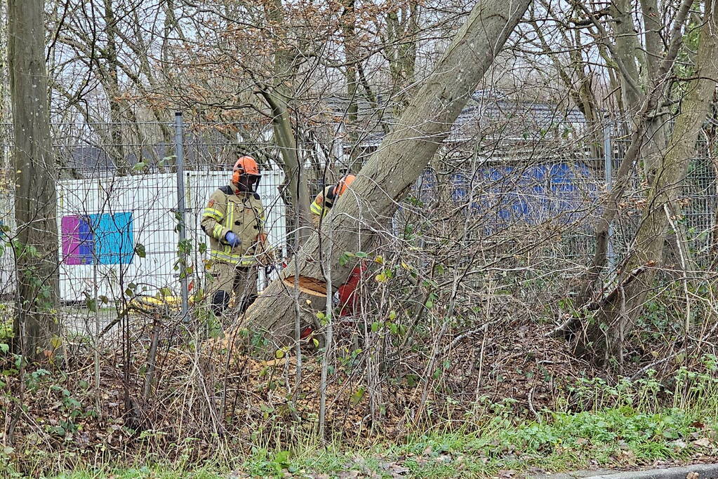 Boom dreigt op weg te vallen