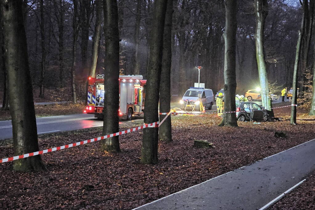 Persoon overleden bij botsing met boom