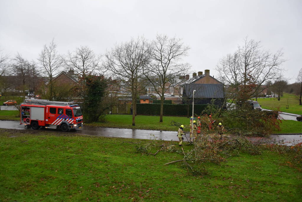 Omgewaaide boom verspert weg