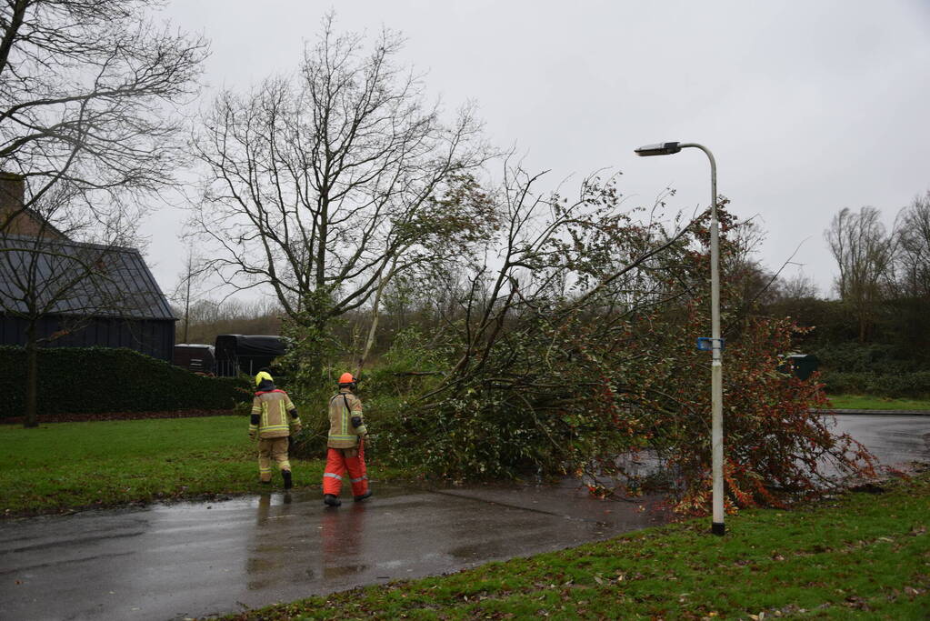 Omgewaaide boom verspert weg