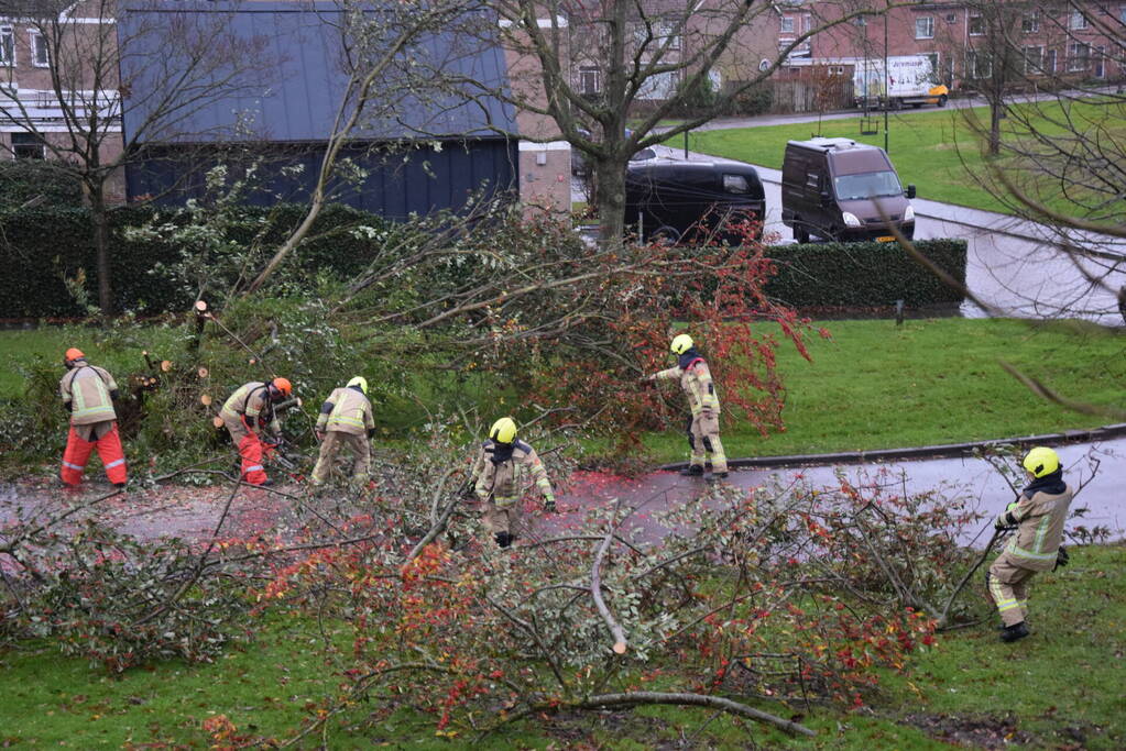 Omgewaaide boom verspert weg