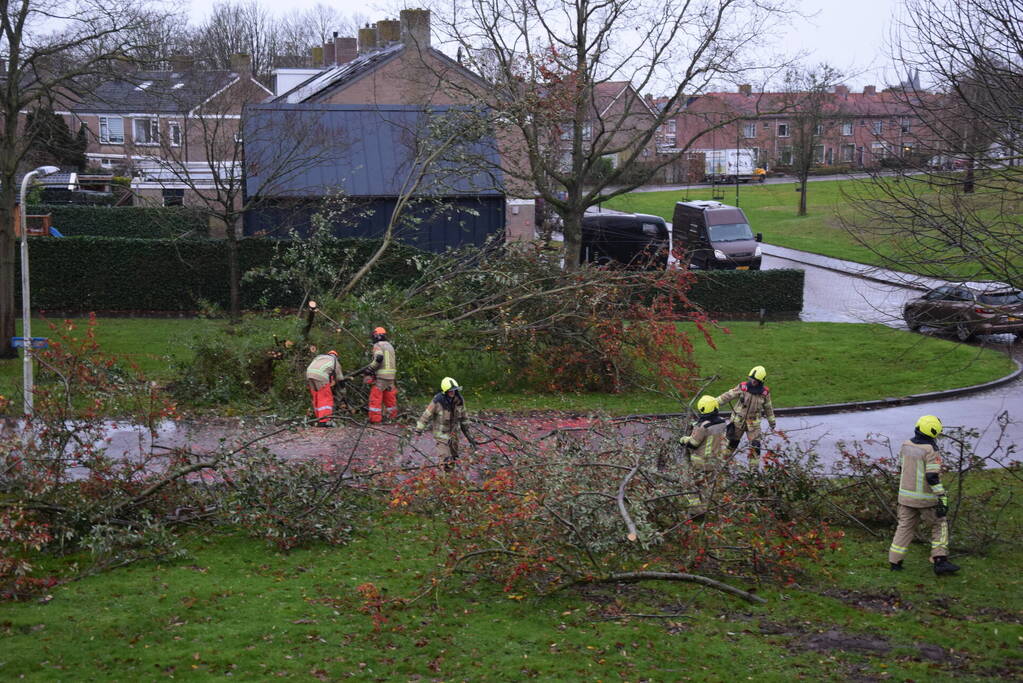 Omgewaaide boom verspert weg