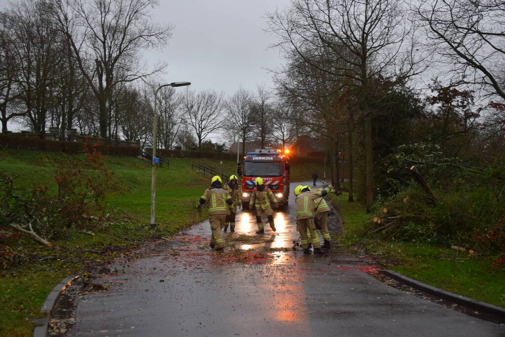 Omgewaaide boom verspert weg