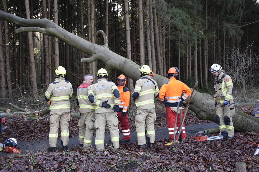 Groot materieel ingezet voor boom over fietspad