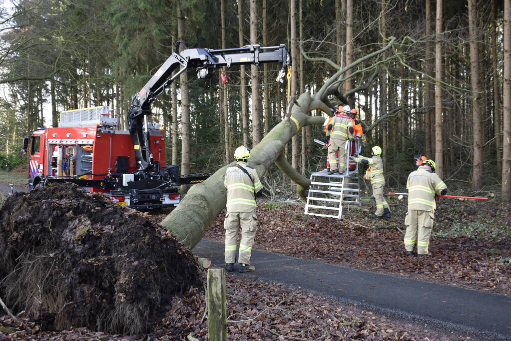 Groot materieel ingezet voor boom over fietspad