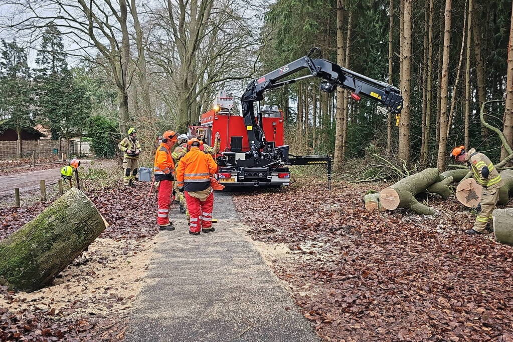 Groot materieel ingezet voor boom over fietspad