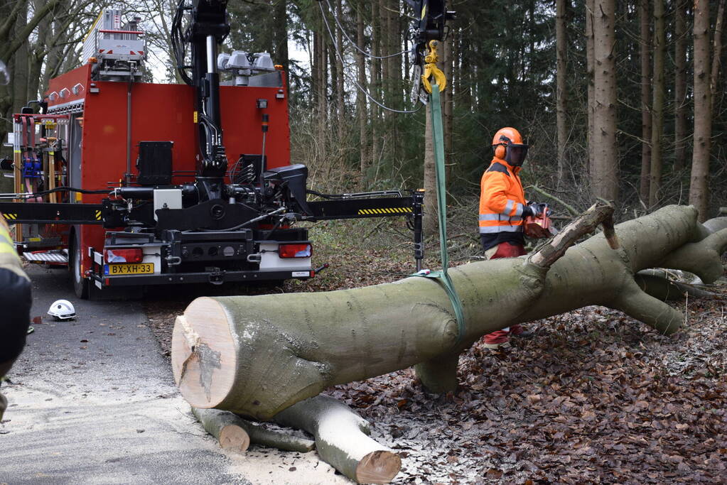 Groot materieel ingezet voor boom over fietspad