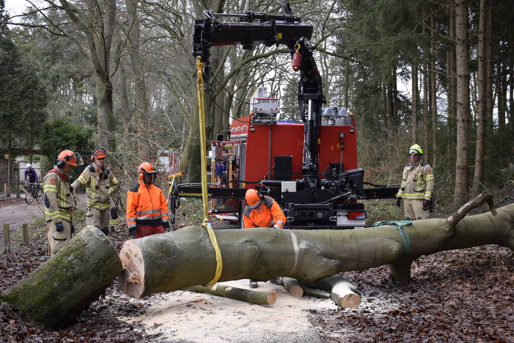 Groot materieel ingezet voor boom over fietspad