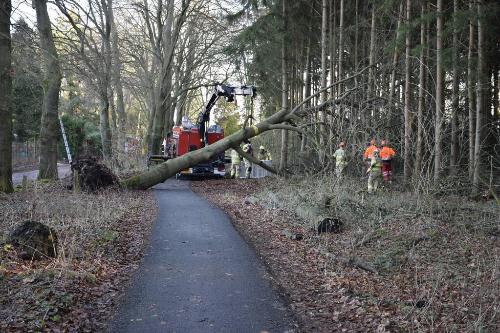 Groot materieel ingezet voor boom over fietspad