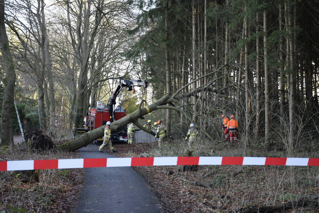 Groot materieel ingezet voor boom over fietspad