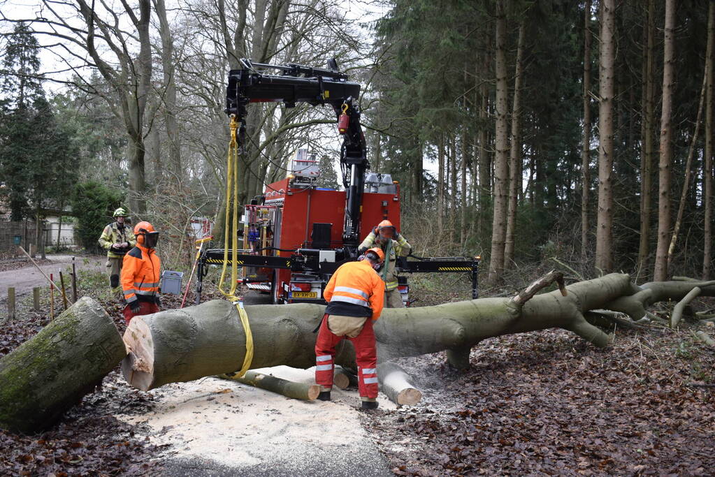 Groot materieel ingezet voor boom over fietspad