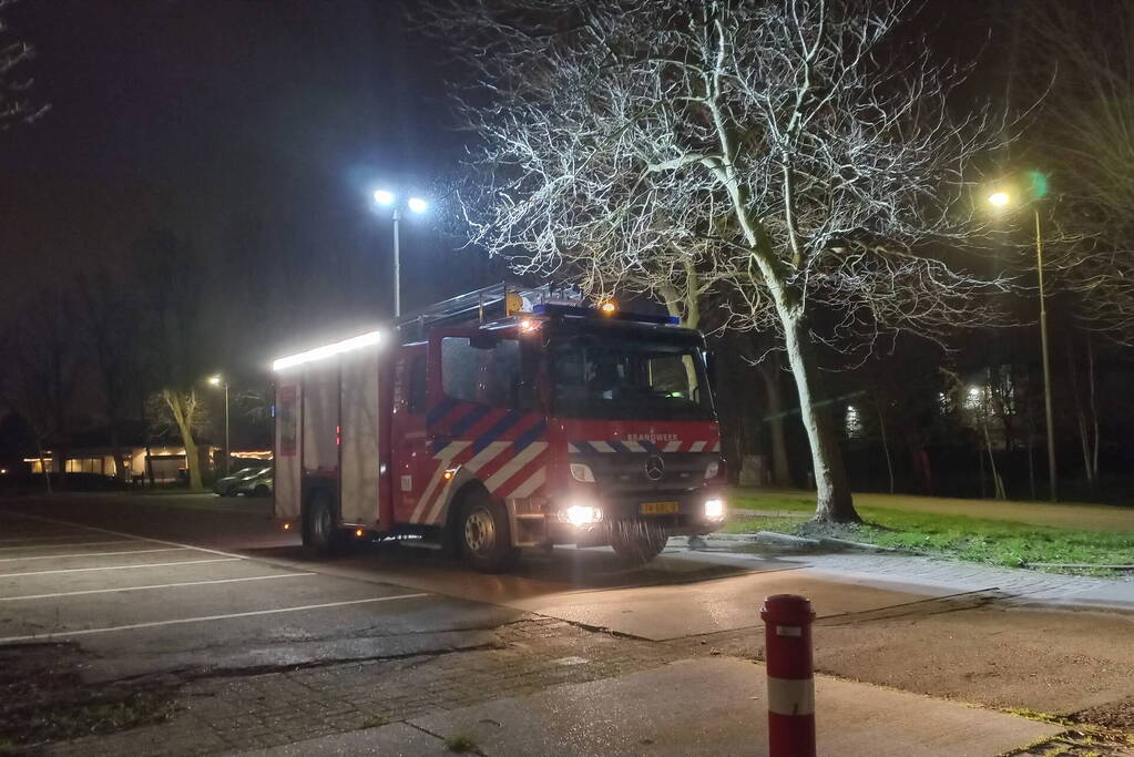 Takken los in boom door weersomstandigheden