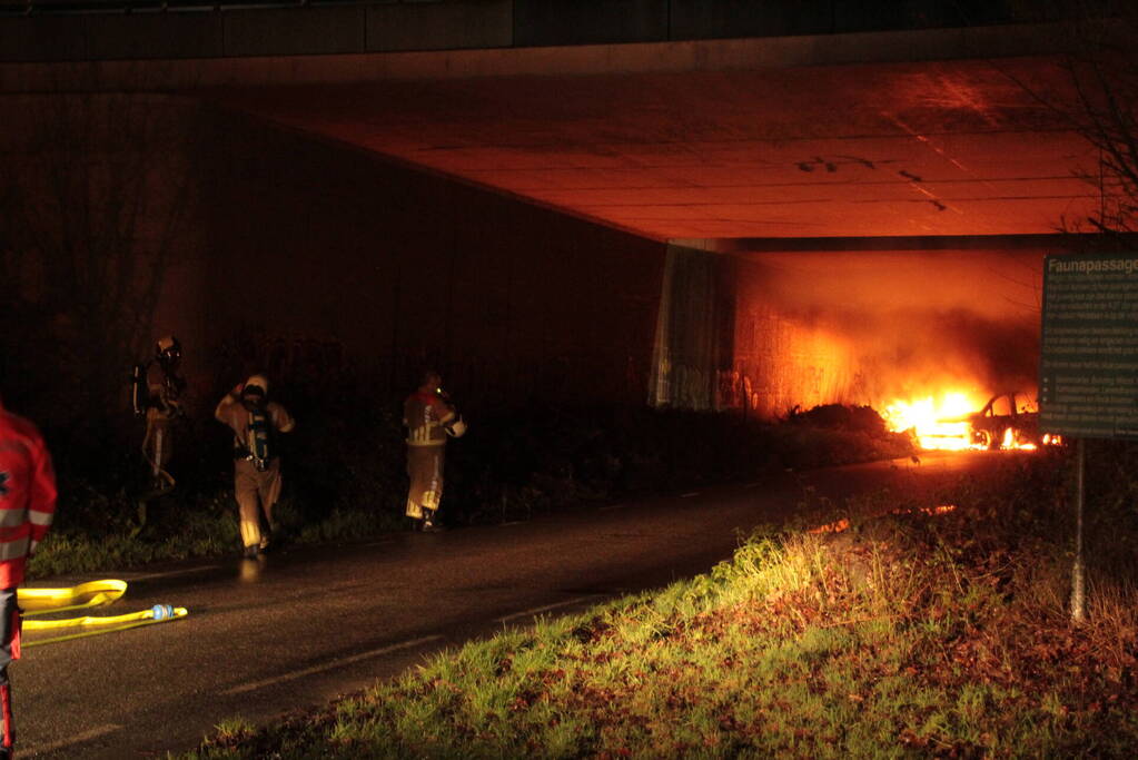 Bestelbus uitgebrand onder viaduct