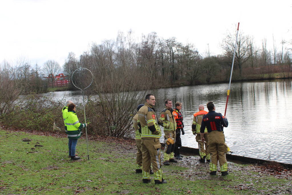 Dier gered door brandweer