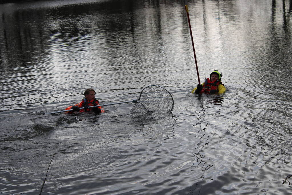 Dier gered door brandweer