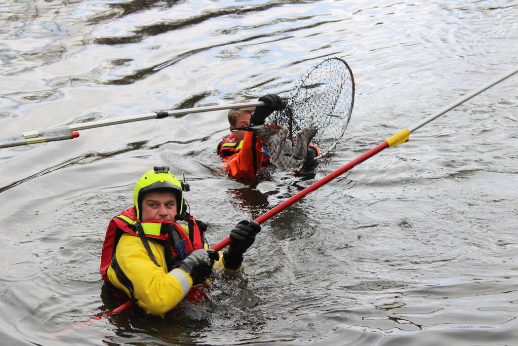 Dier gered door brandweer