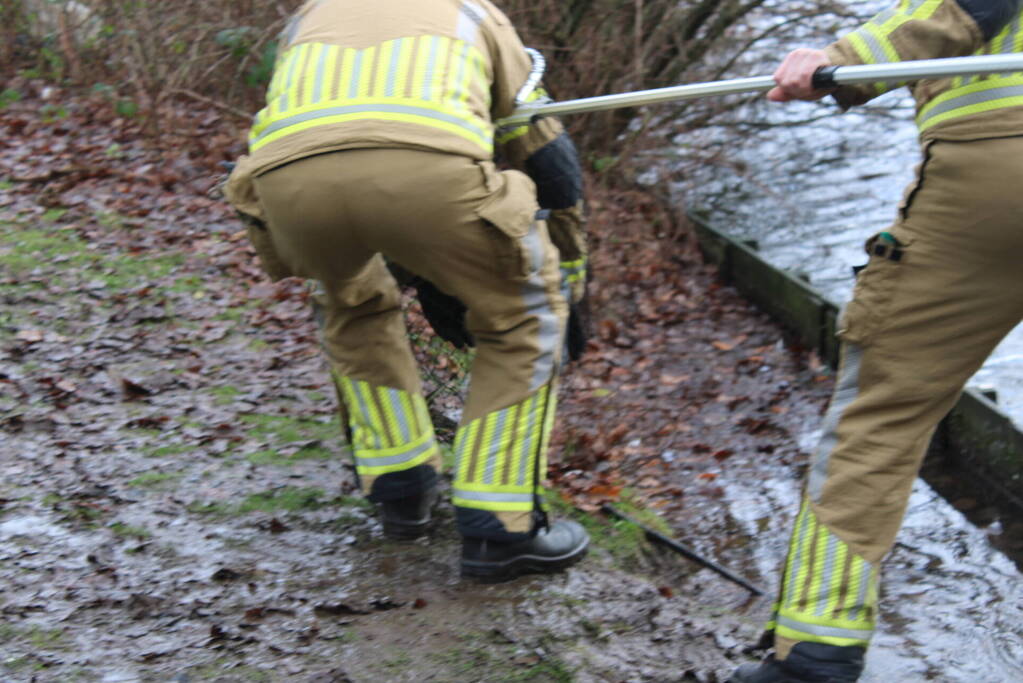 Dier gered door brandweer