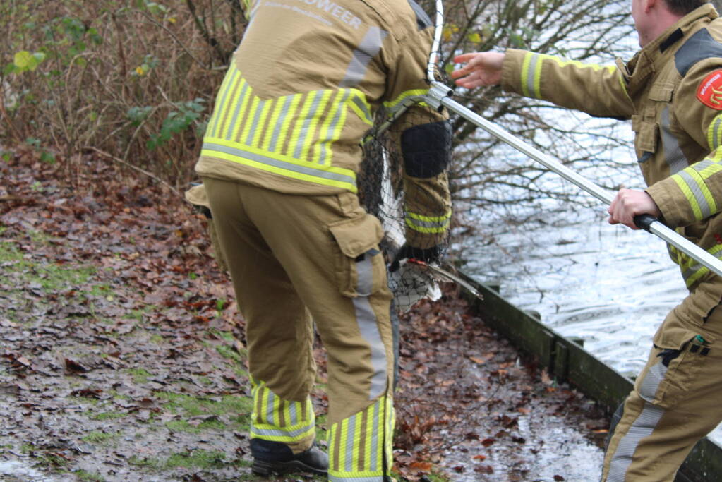 Dier gered door brandweer