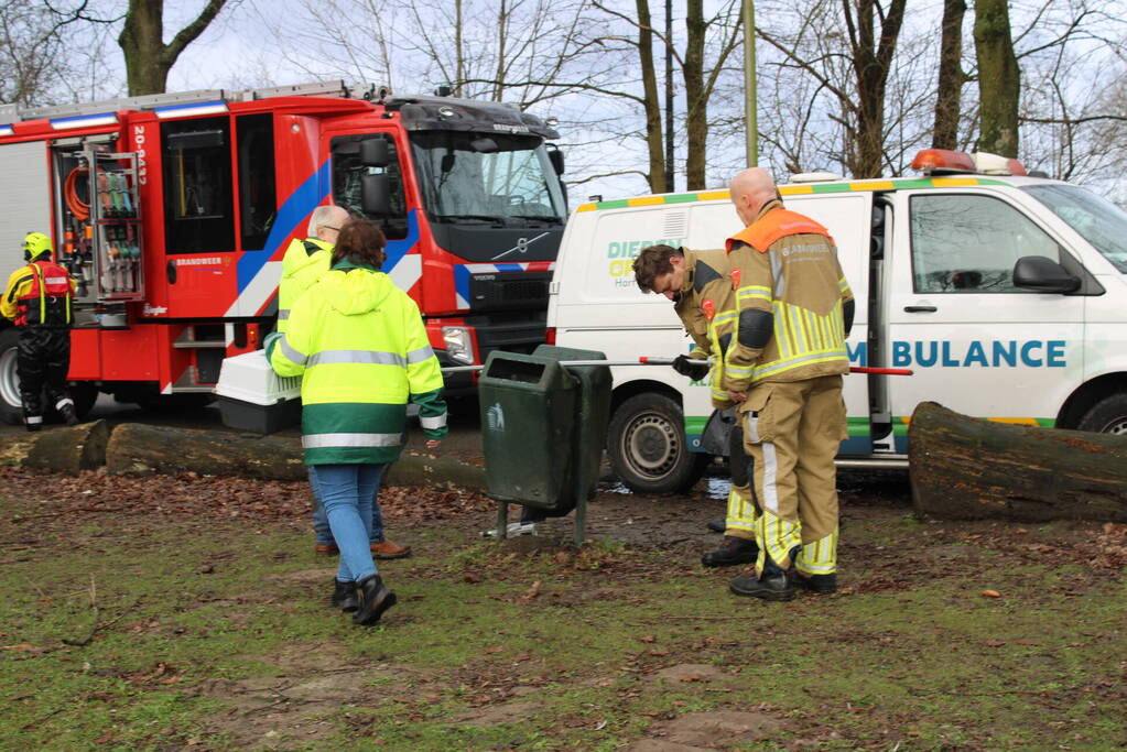 Dier gered door brandweer