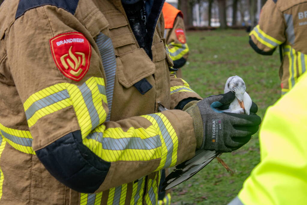 Dier gered door brandweer