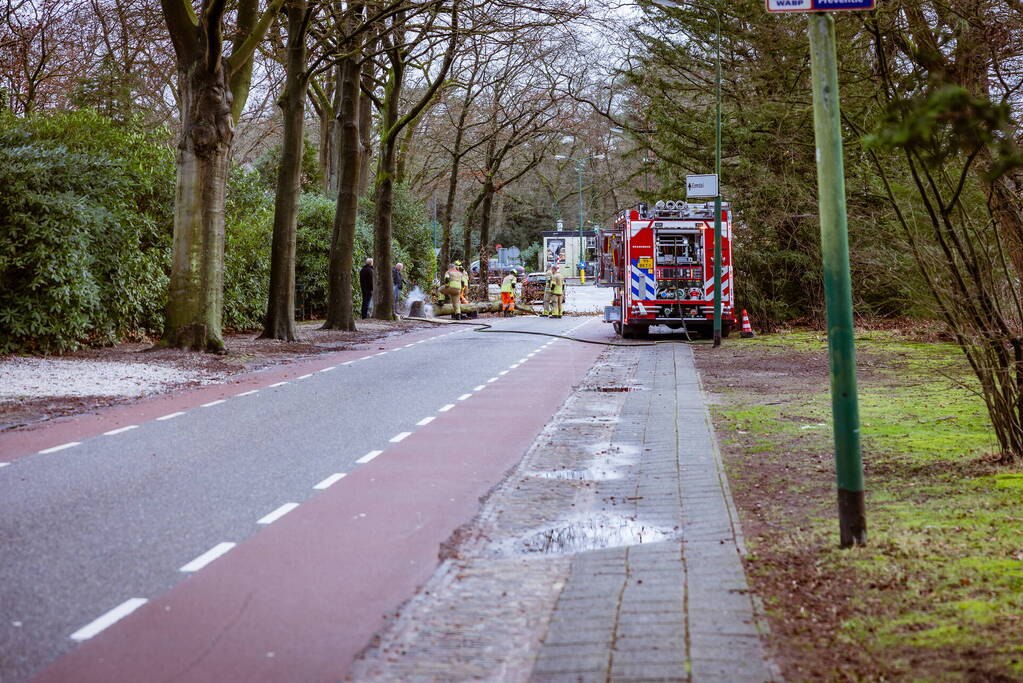 Boom in stukken gezaagd na brand